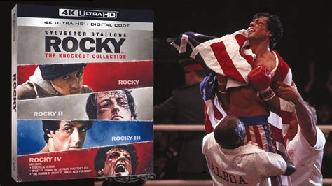 rocky the knockout collection|More.